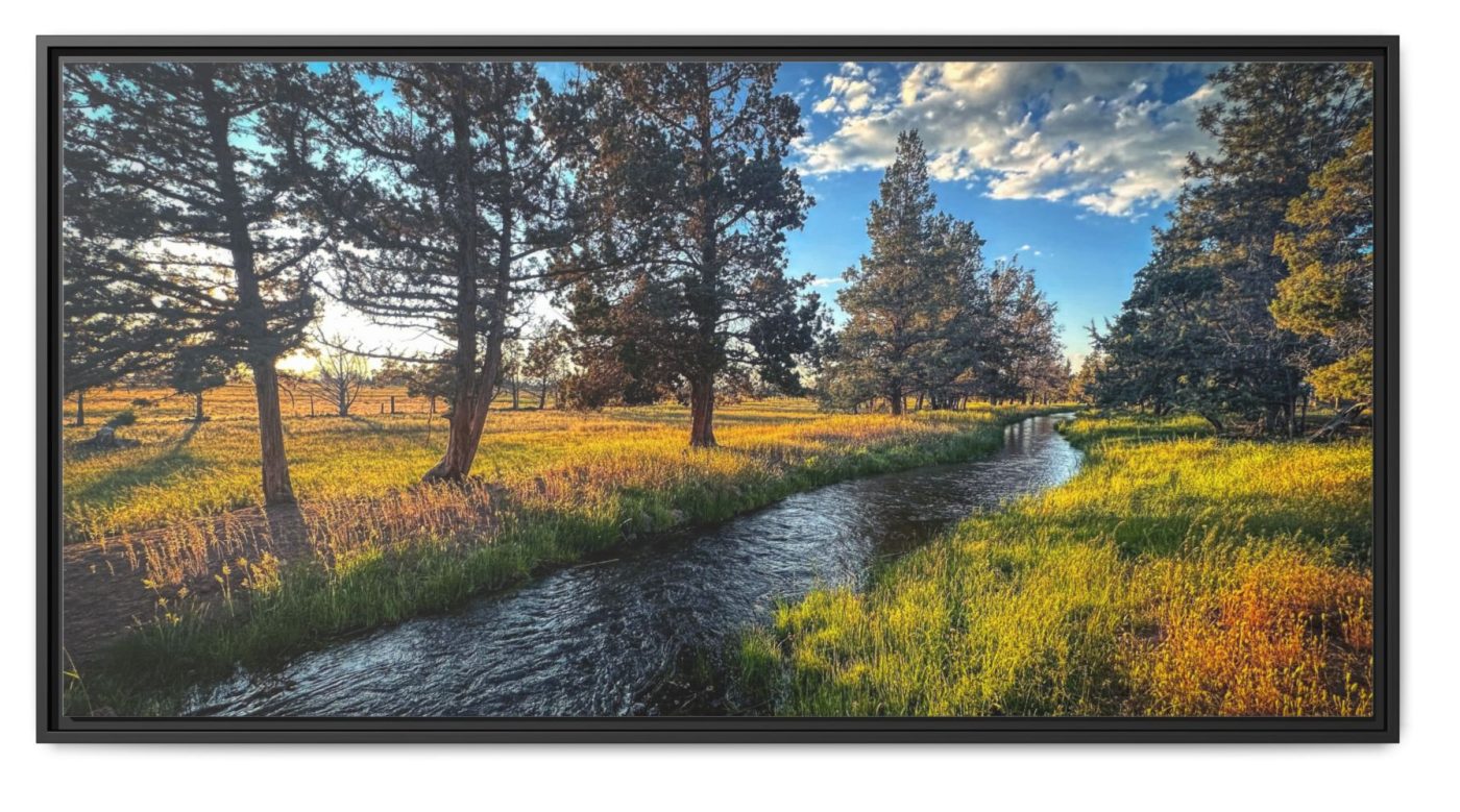 Wandering Creek Through Sunlit Meadow