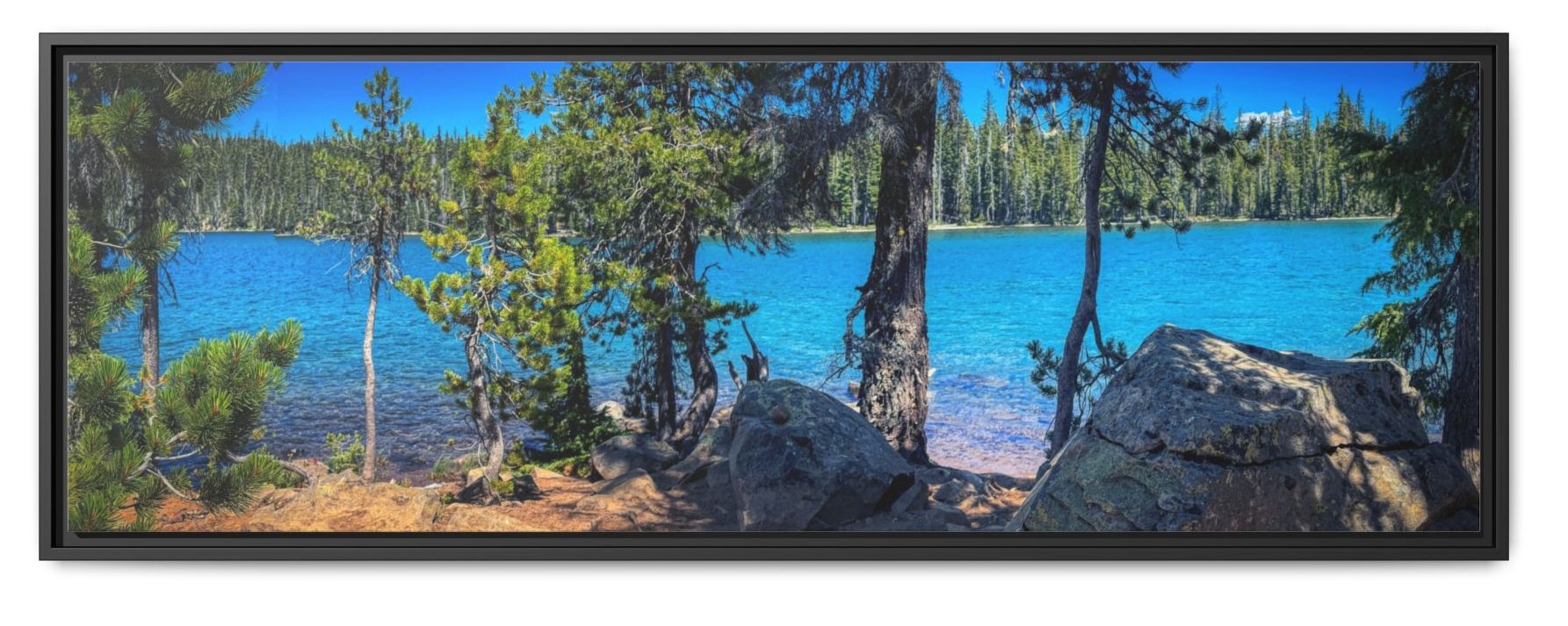 Trees on Doris Lake Shore - Image 3