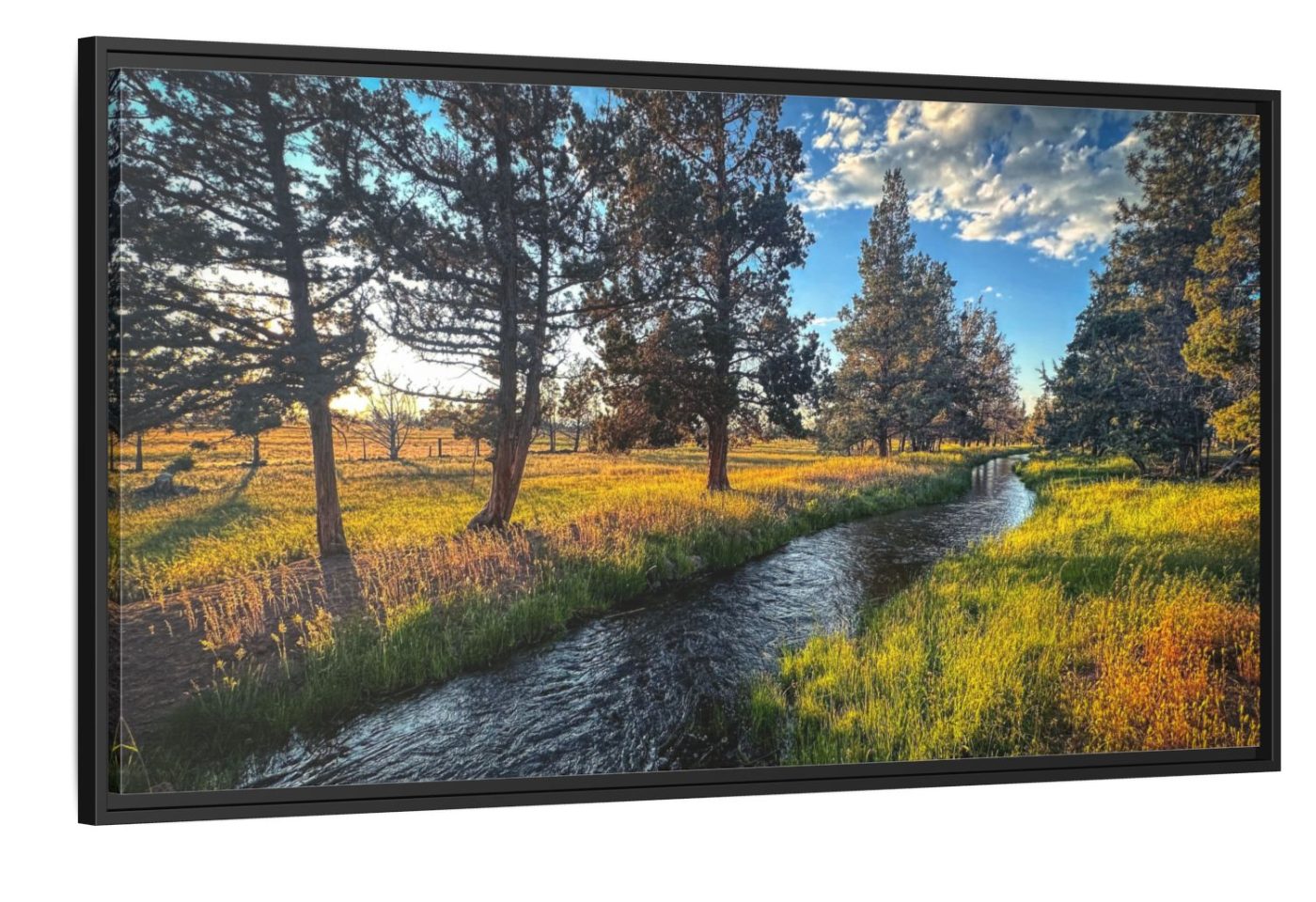 Wandering Creek Through Sunlit Meadow