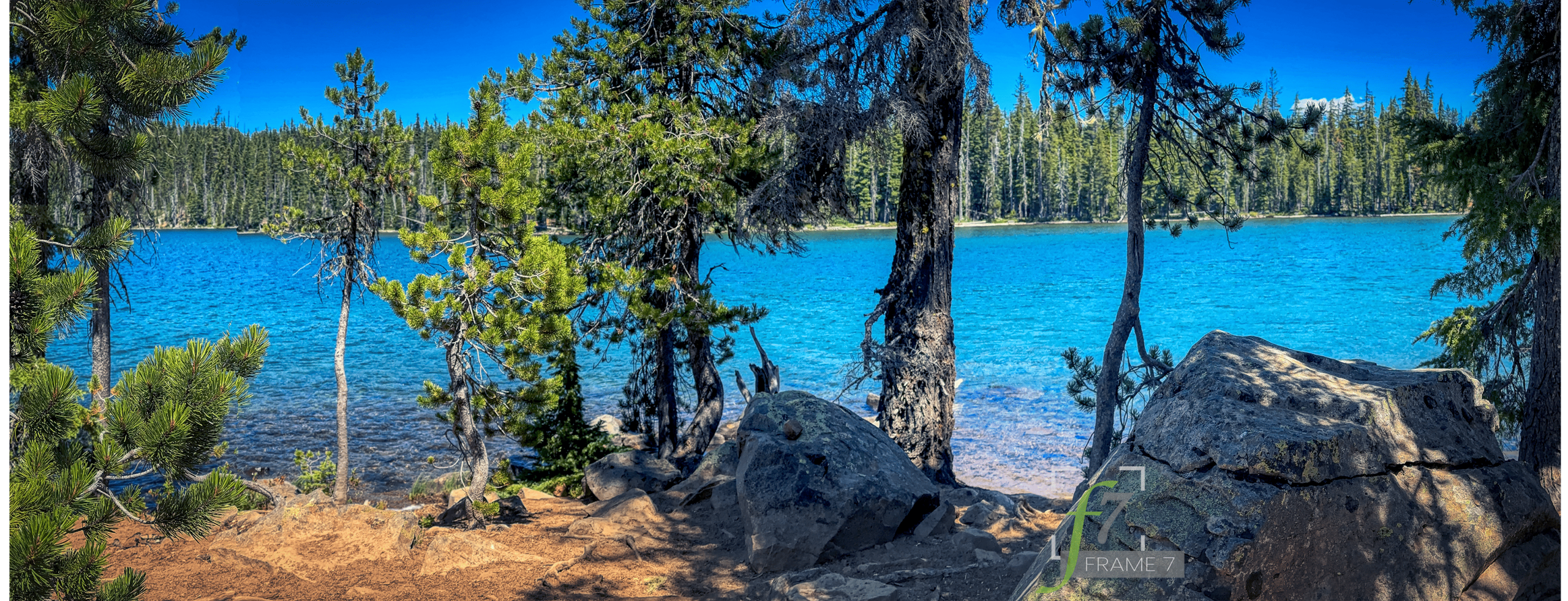 gallery-trees-on-doris-lake-shore